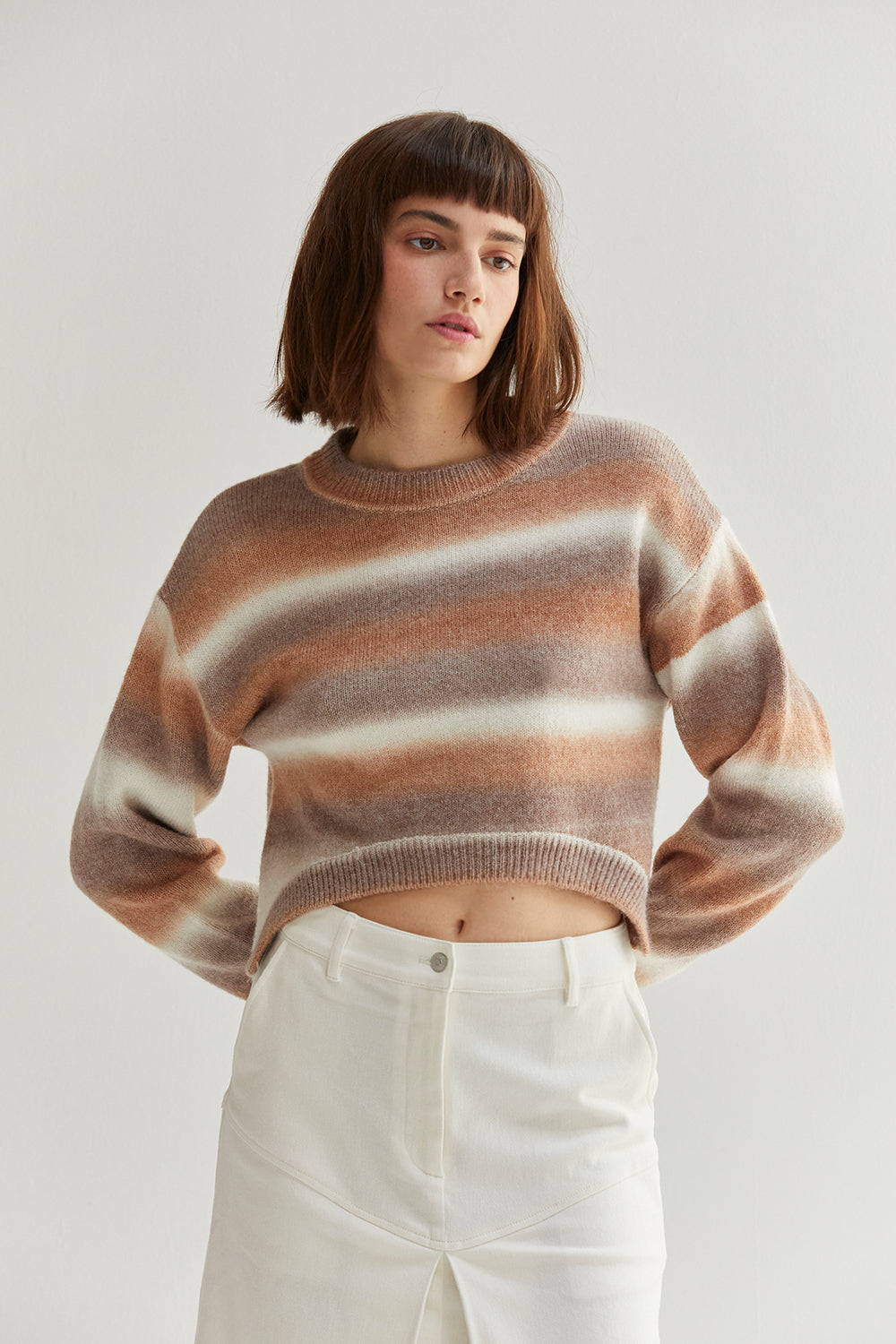 Ombre Crew Neck Sweater