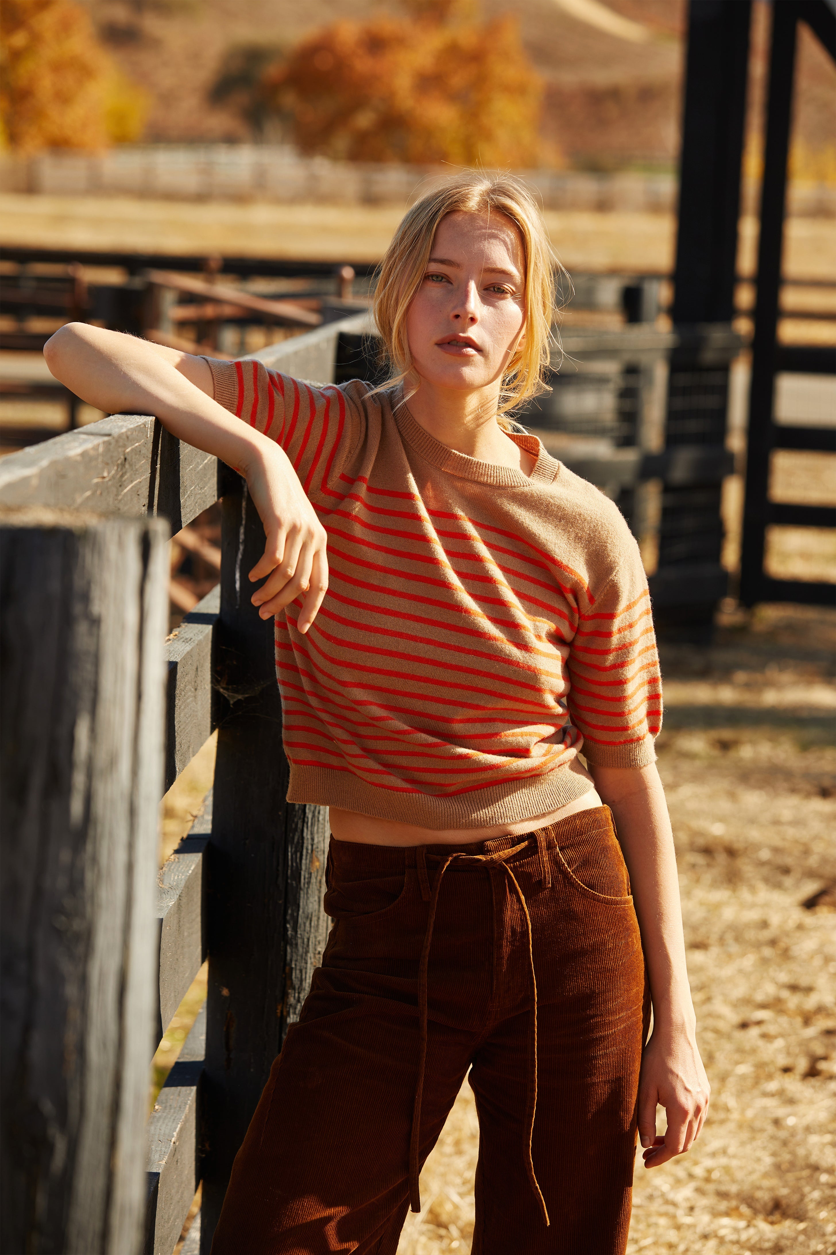 Stripe Short Sleeve Sweater Top